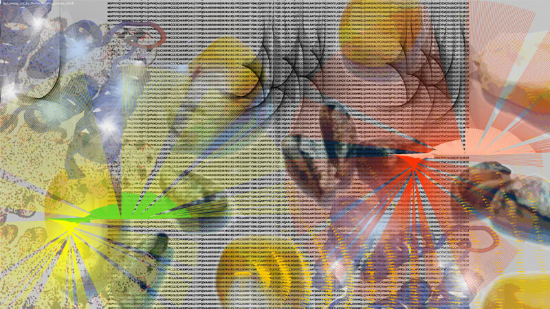 (Martin Calvino | Artwork on ‘barren stalk 1’ gene (ba1) from maize | 2018 | Algorithmic art | JPG Digital file | Dimensions: 10,668 × 6,001 pixels)
