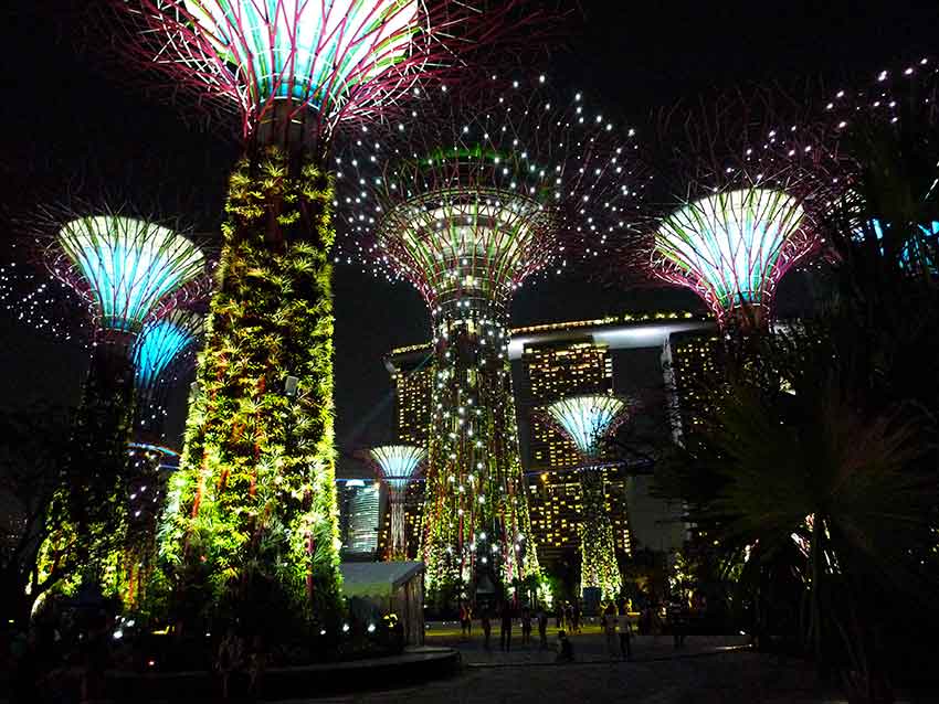 Supertree_Grove,_Gardens_by_the_Bay,_Singapore_-_20120630-04