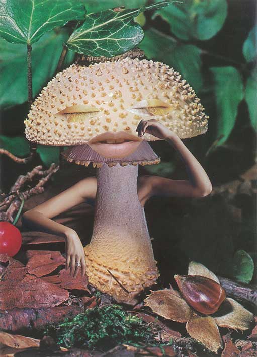 1-Seana-Gavin-Mindful-Mushroom-courtesy-of-the-artist