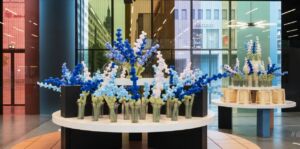 Delphinium Maximum exhibition view 1