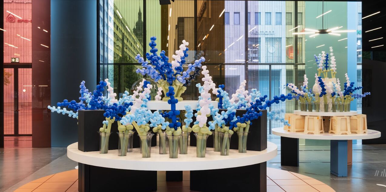 Delphinium Maximum exhibition view 1