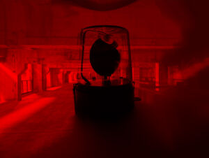 Joanna Rajkowska, Emergemcy Light. Courtesy of the artist