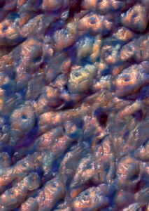 atonal 2025 ai holes