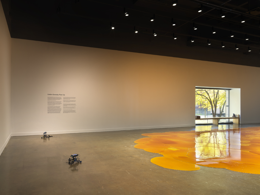 MIT List Center_Goldin+Senneby, Flare-Up, installation view. Photo credit: Dario Lasagni