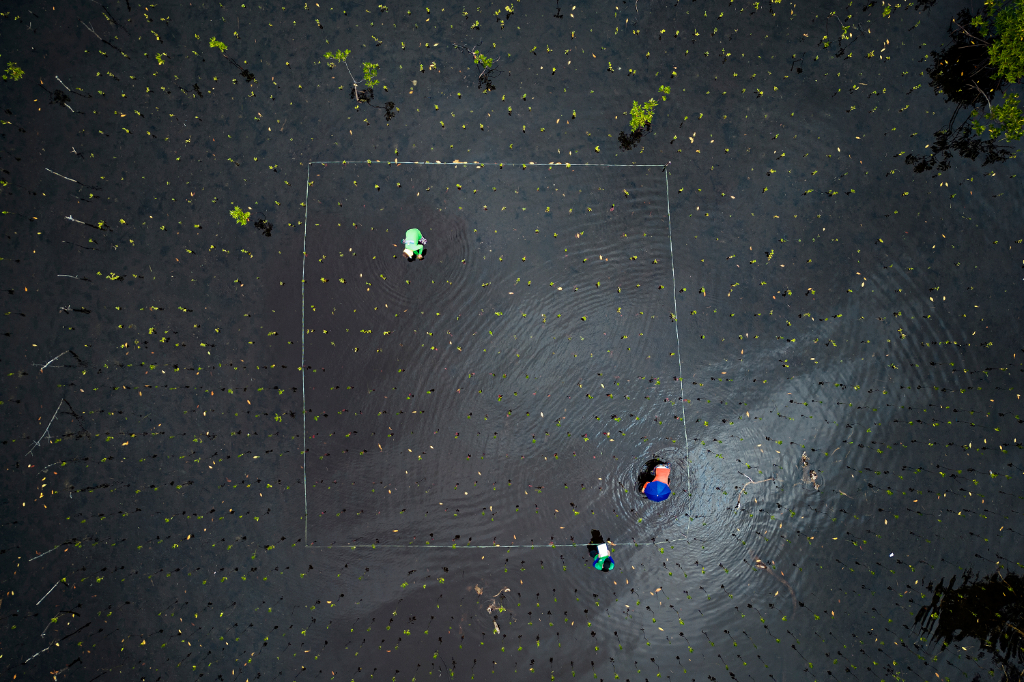 Handayan Island, Philippines - 2024