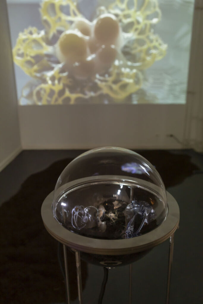 SonoMetagenomics, Helena Nikonole (2026), exhibition view, Art Laboratory Berlin. Photo credit: Tim Deussen